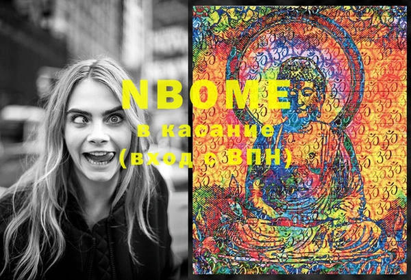 PSILOCYBIN Алзамай