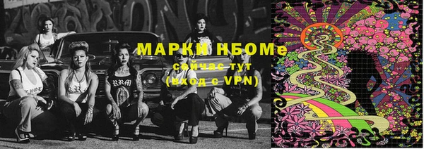 PSILOCYBIN Алзамай