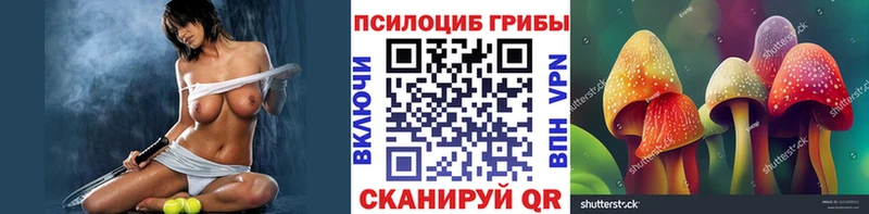 что такое   Сасово  Псилоцибиновые грибы мицелий 